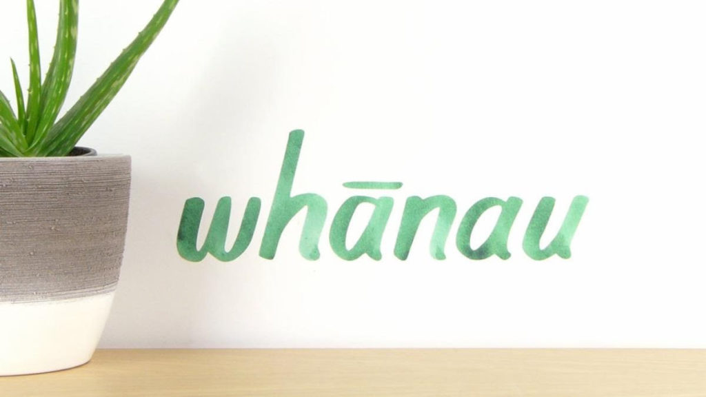 The word whanau with an accent over the first letter a next to a potted cactus on a table.